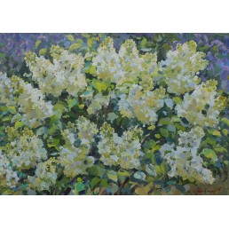 White lilac, 2017, oil on canvas, 50x70 cm